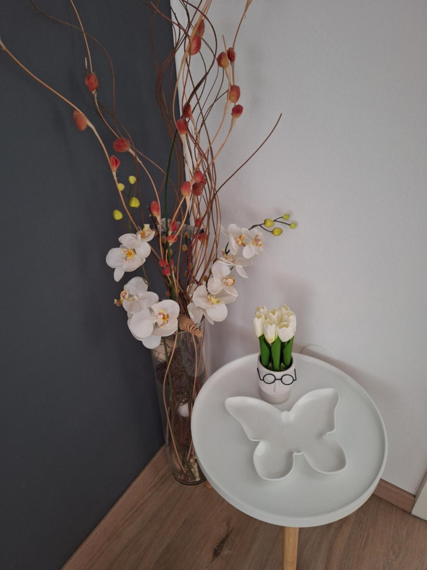 Apartments And Rooms Lorena 236 Rovinj Luaran gambar